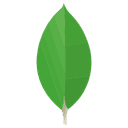 MongoDB logo