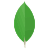 MongoDB logo